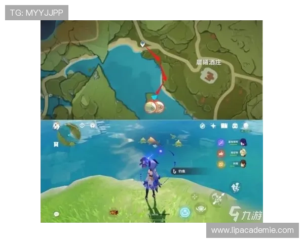 九游账号找回密码的详细操作流程与注意事项 九游账号找回密码的详细操作流程与注意事项