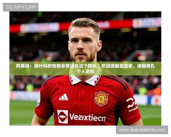九游娱乐app赞助不莱梅h对球队战绩和球迷互动的积极影响深度分析