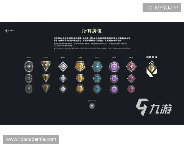 九游社区网页版官网全面介绍游戏交流平台的功能与操作技巧 九游社区网页版官网全面介绍游戏交流平台的功能与操作技巧